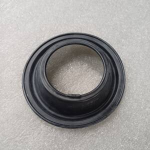 Membrane